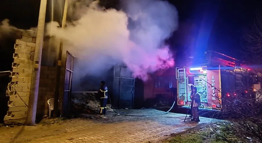 Banaz'da Yürek Yakan Felaket: Samanlık Yangınında 5 Koyun Telef Oldu!