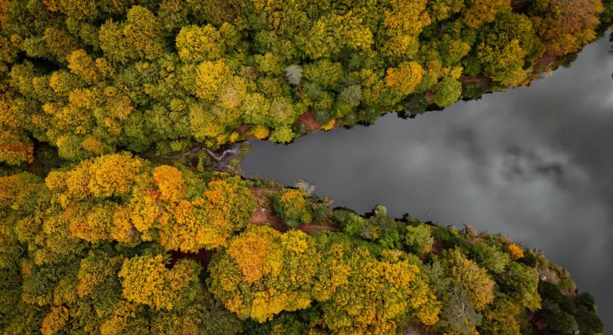 Domaniç Dağları'nda Sonbahar Coşkusu: Renkler Büyülüyor!