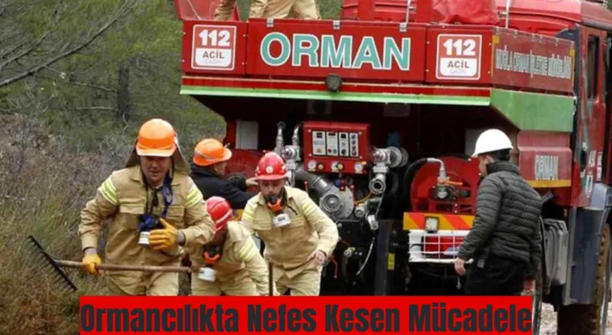 Ormancılıkta Nefes Kesen Mücadele: TOY Yarışmaları Muğla’da Devam Ediyor