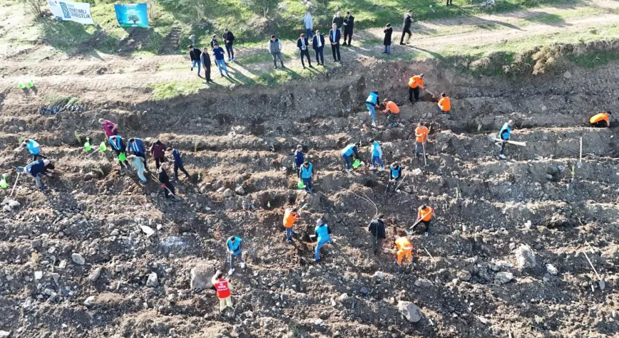 Söke'de Yükümlülerden Anlamlı Hareket: 600 Fidan Toprakla Buluştu!